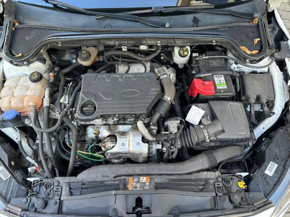 Ford Focus (27)
